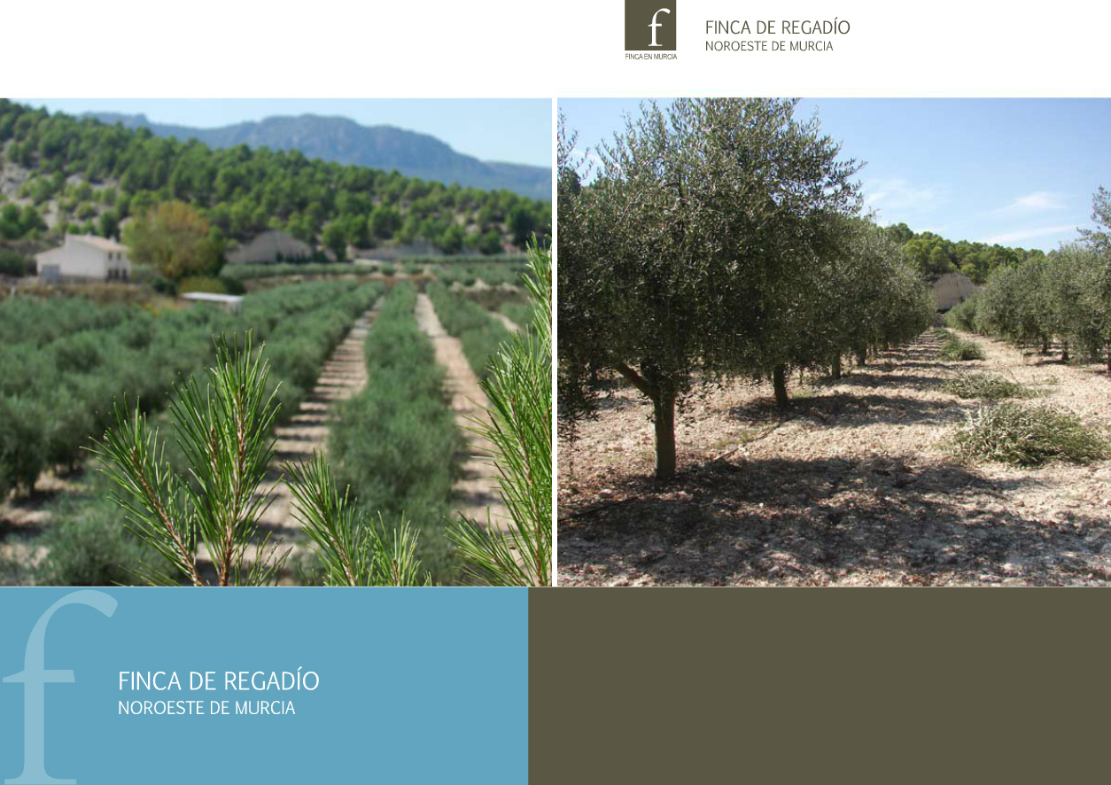 Se Vende Finca en Murcia