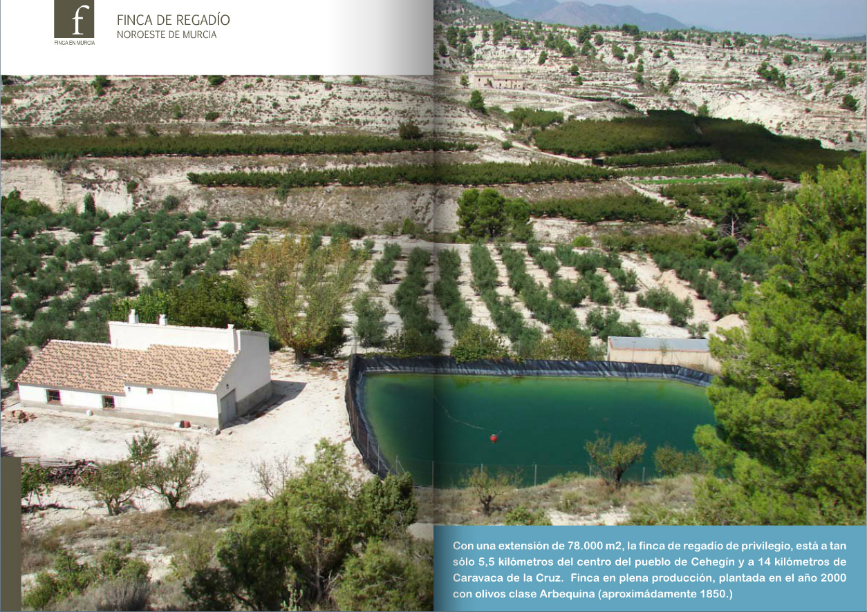 Se Vende Finca en Murcia